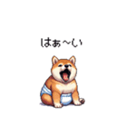 赤ちゃん太っちょ柴犬 おむつ履いてます（個別スタンプ：33）