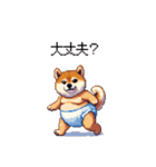 赤ちゃん太っちょ柴犬 おむつ履いてます（個別スタンプ：35）