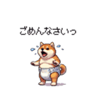 赤ちゃん太っちょ柴犬 おむつ履いてます（個別スタンプ：37）