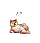 赤ちゃん太っちょ柴犬 おむつ履いてます（個別スタンプ：38）