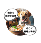 ラーメン大好きすぎる犬達の哲学コメント（個別スタンプ：11）