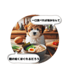 ラーメン大好きすぎる犬達の哲学コメント（個別スタンプ：16）