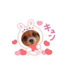 oirann35（個別スタンプ：1）
