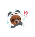 oirann35（個別スタンプ：2）