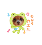 oirann35（個別スタンプ：4）