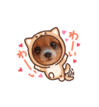 oirann35（個別スタンプ：8）