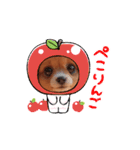 oirann35（個別スタンプ：12）