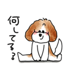 僕はオーストラリアン・ラブラドゥードゥル（個別スタンプ：3）