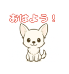 【毎日使える】チワワ（白）日常挨拶_3（個別スタンプ：1）