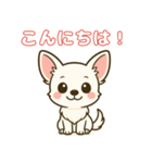 【毎日使える】チワワ（白）日常挨拶_3（個別スタンプ：2）