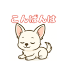 【毎日使える】チワワ（白）日常挨拶_3（個別スタンプ：3）
