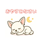 【毎日使える】チワワ（白）日常挨拶_3（個別スタンプ：4）