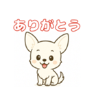 【毎日使える】チワワ（白）日常挨拶_3（個別スタンプ：6）