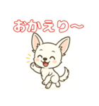 【毎日使える】チワワ（白）日常挨拶_3（個別スタンプ：8）