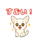 【毎日使える】チワワ（白）日常挨拶_3（個別スタンプ：10）
