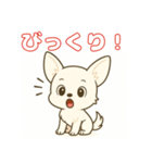 【毎日使える】チワワ（白）日常挨拶_3（個別スタンプ：12）