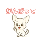 【毎日使える】チワワ（白）日常挨拶_3（個別スタンプ：13）