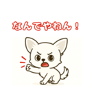 【毎日使える】チワワ（白）日常挨拶_3（個別スタンプ：15）