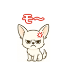 【毎日使える】チワワ（白）日常挨拶_3（個別スタンプ：18）