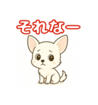 【毎日使える】チワワ（白）日常挨拶_3（個別スタンプ：19）