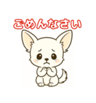【毎日使える】チワワ（白）日常挨拶_3（個別スタンプ：20）