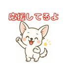 【毎日使える】チワワ（白）日常挨拶_3（個別スタンプ：22）