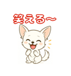 【毎日使える】チワワ（白）日常挨拶_3（個別スタンプ：24）