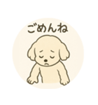ふわふわ犬のNiko、登場！（個別スタンプ：1）