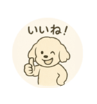 ふわふわ犬のNiko、登場！（個別スタンプ：3）