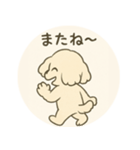 ふわふわ犬のNiko、登場！（個別スタンプ：4）