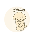 ふわふわ犬のNiko、登場！（個別スタンプ：8）