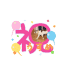 川越市保護猫カフェねこかつスタンプです（個別スタンプ：1）