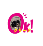 川越市保護猫カフェねこかつスタンプです（個別スタンプ：4）