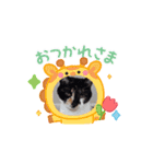 川越市保護猫カフェねこかつスタンプです（個別スタンプ：15）