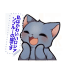 ロシアンブルーキャット - 生活用語（J4）（個別スタンプ：6）
