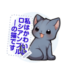 ロシアンブルーキャット - 生活用語（J4）（個別スタンプ：13）