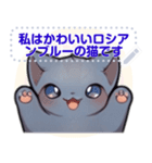 ロシアンブルーキャット - 生活用語（J4）（個別スタンプ：14）