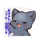 ロシアンブルーキャット - 生活用語（J4）（個別スタンプ：15）