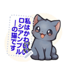 ロシアンブルーキャット - 生活用語（J4）（個別スタンプ：23）