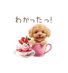 動く♪お菓子だいすきトイプードル（個別スタンプ：12）