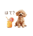 動く♪お菓子だいすきトイプードル（個別スタンプ：14）