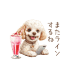 動く♪お菓子だいすきトイプードル（個別スタンプ：22）
