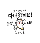 3匹のねこと韓国語2（個別スタンプ：3）