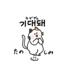 3匹のねこと韓国語2（個別スタンプ：5）