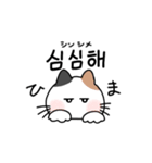 3匹のねこと韓国語2（個別スタンプ：8）