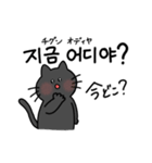 3匹のねこと韓国語2（個別スタンプ：10）