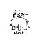 3匹のねこと韓国語2（個別スタンプ：13）