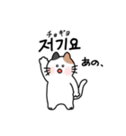 3匹のねこと韓国語2（個別スタンプ：19）