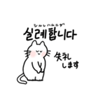 3匹のねこと韓国語2（個別スタンプ：20）