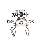 3匹のねこと韓国語2（個別スタンプ：29）